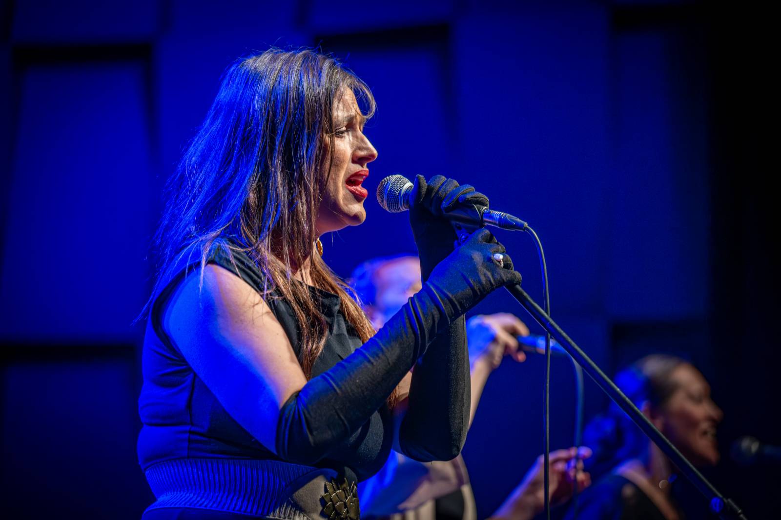 Michal Prokop učaroval Foru Karlín a převzal si platinovou desku za album Ostraka