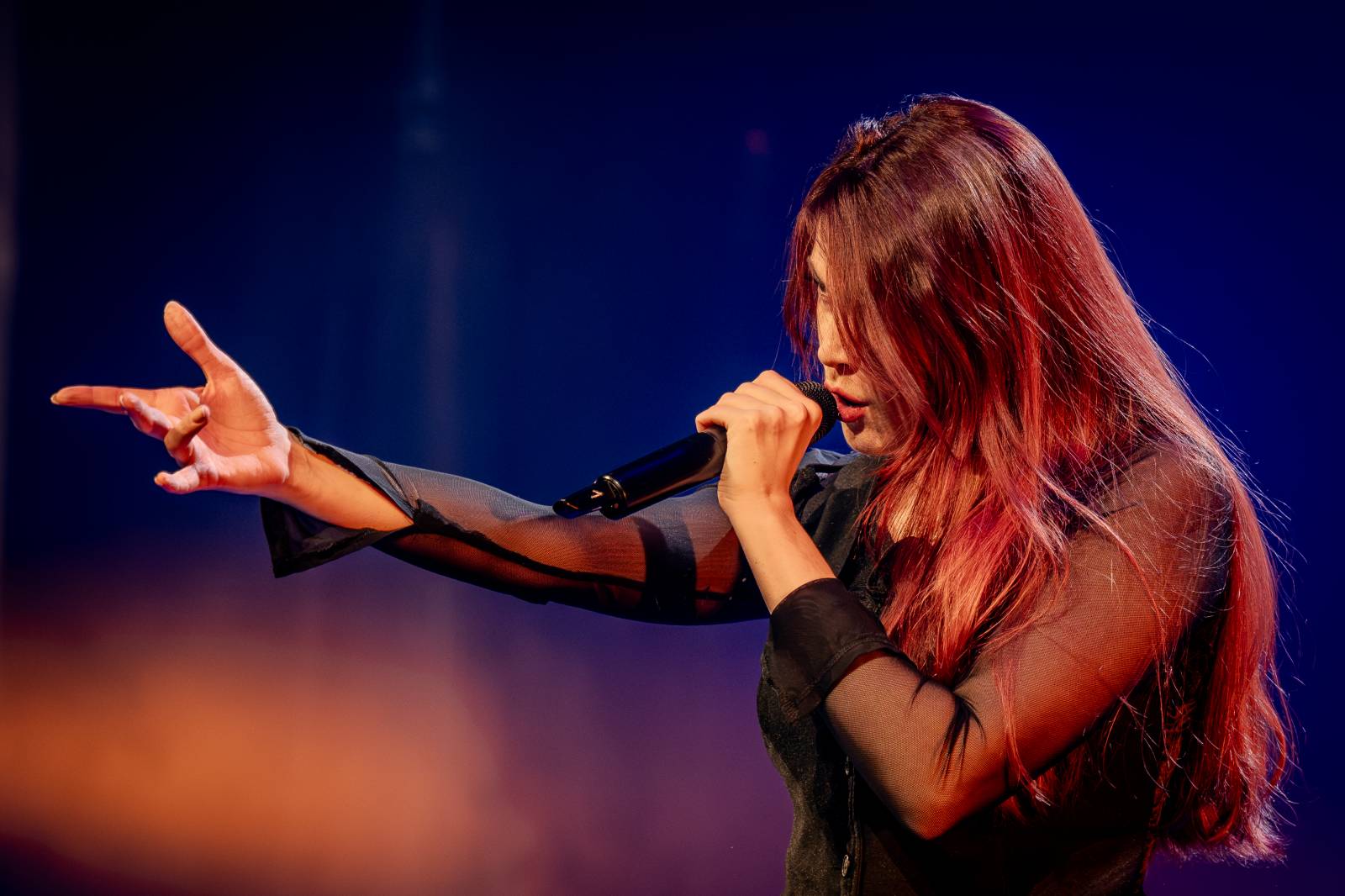 Divadlo Hybernia rozezněly písně Deep Purple. V ženském podání je zazpíval tribute band Strange Kind of Women