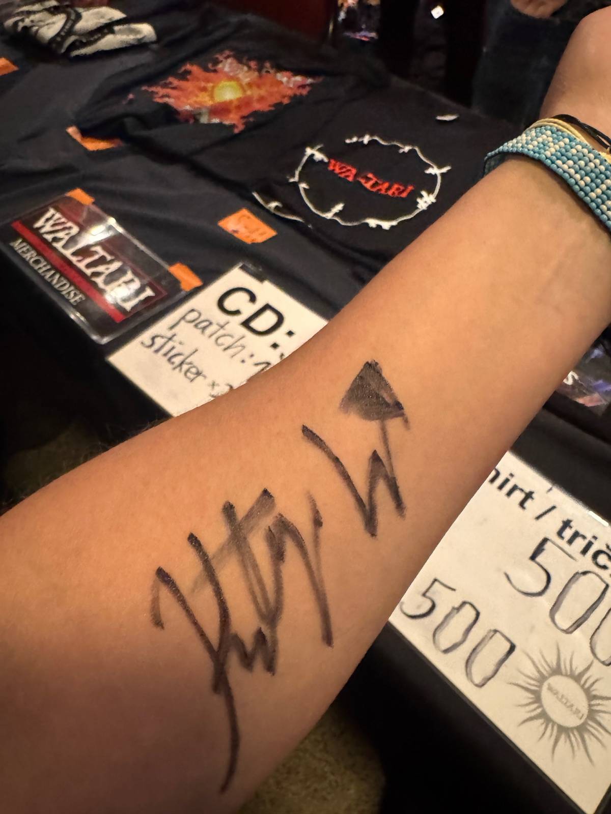 Waltari rozpoutali večer, na který se nezapomíná: crowdsurfing, tři přídavky a publikum v jednom rytmu