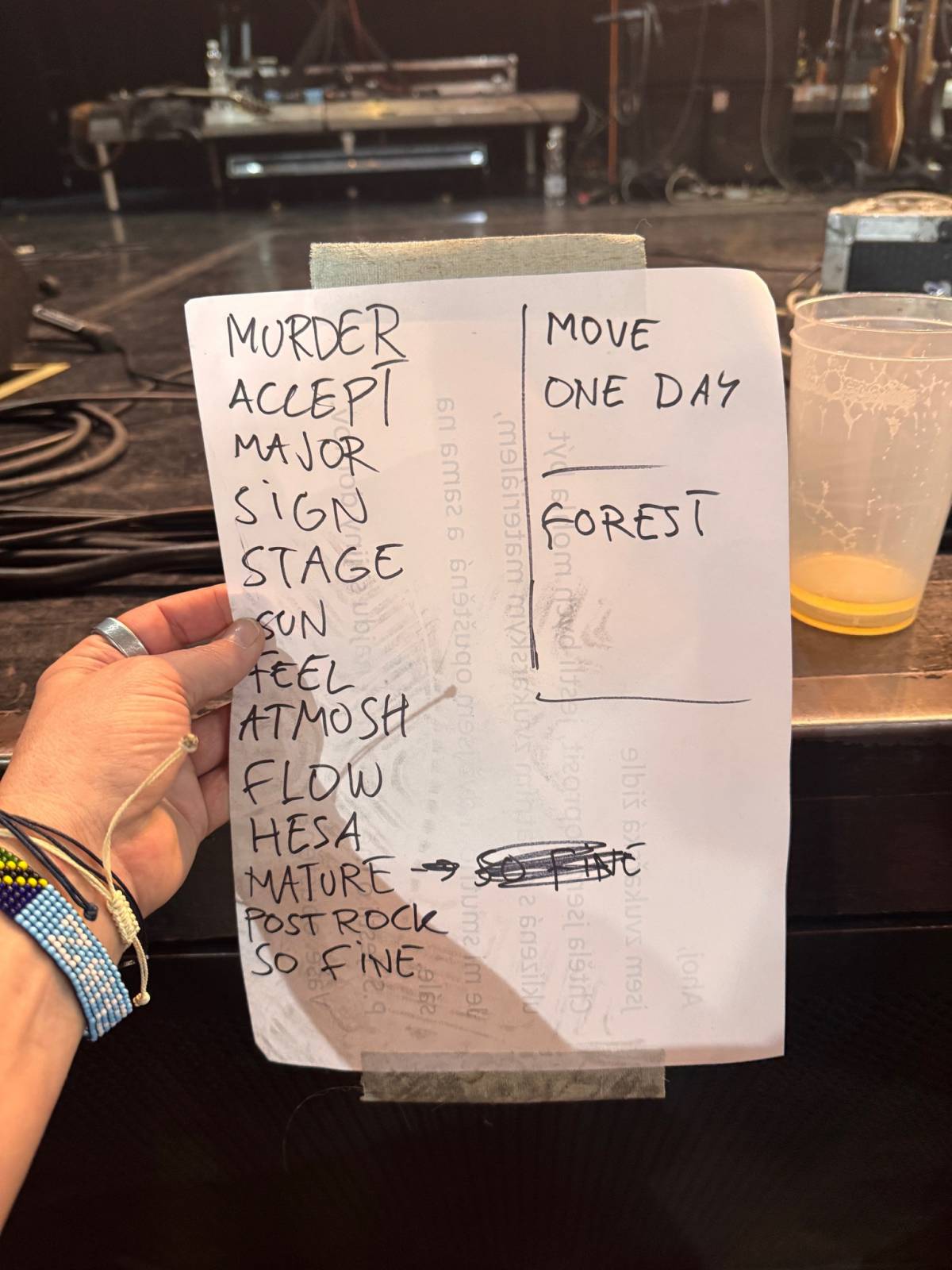 Waltari rozpoutali večer, na který se nezapomíná: crowdsurfing, tři přídavky a publikum v jednom rytmu