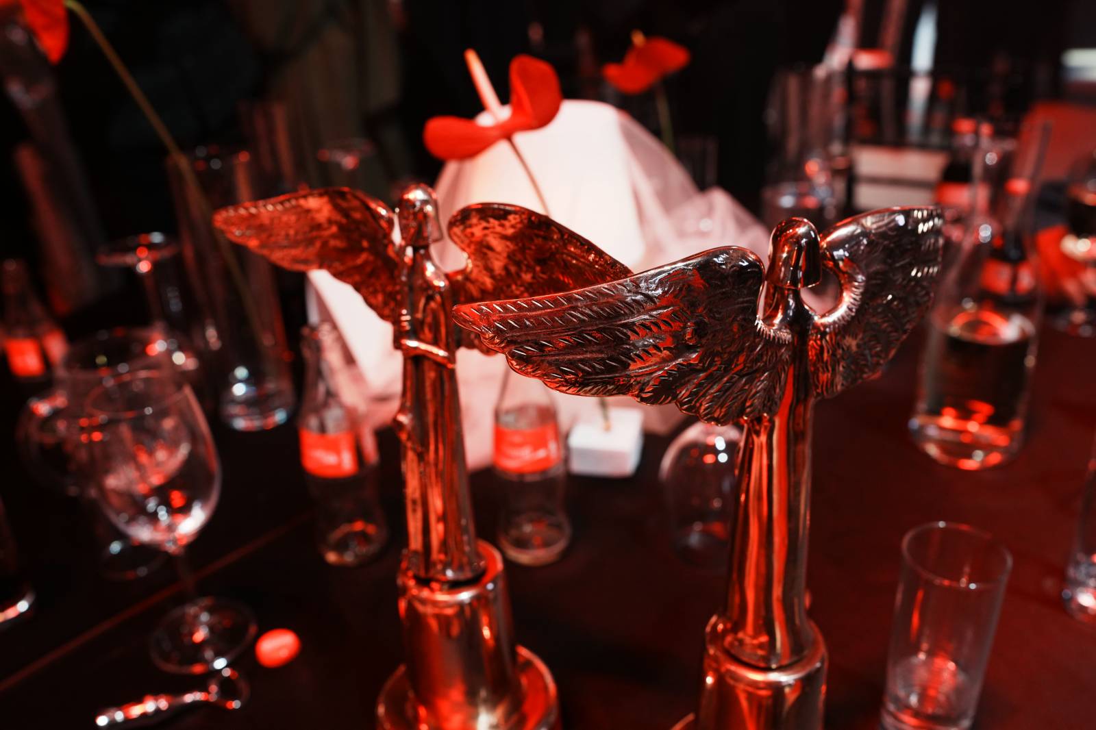 V zákulisí Cen Anděl. Radovali se Michal Prokop či Mňága a Žďorp, dorazili i Ewa Farna, Ben Cristovao nebo Lenny