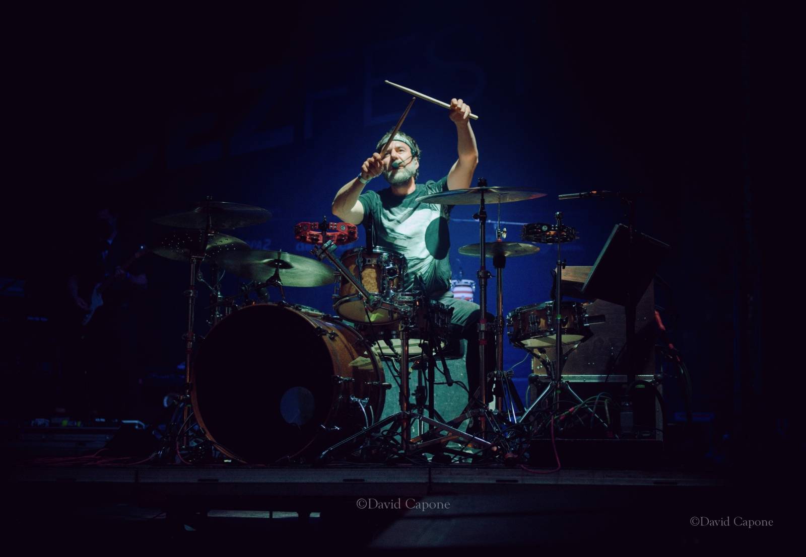 Do Plzně dorazil ČEZFEST. Přivezl Monkey Business a Tata Bojs