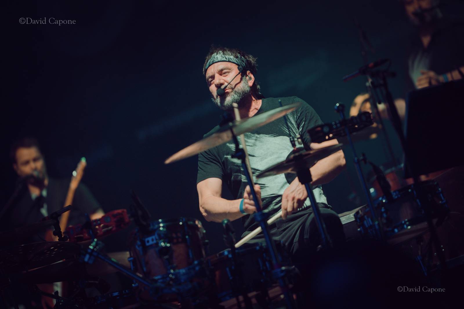 Do Plzně dorazil ČEZFEST. Přivezl Monkey Business a Tata Bojs