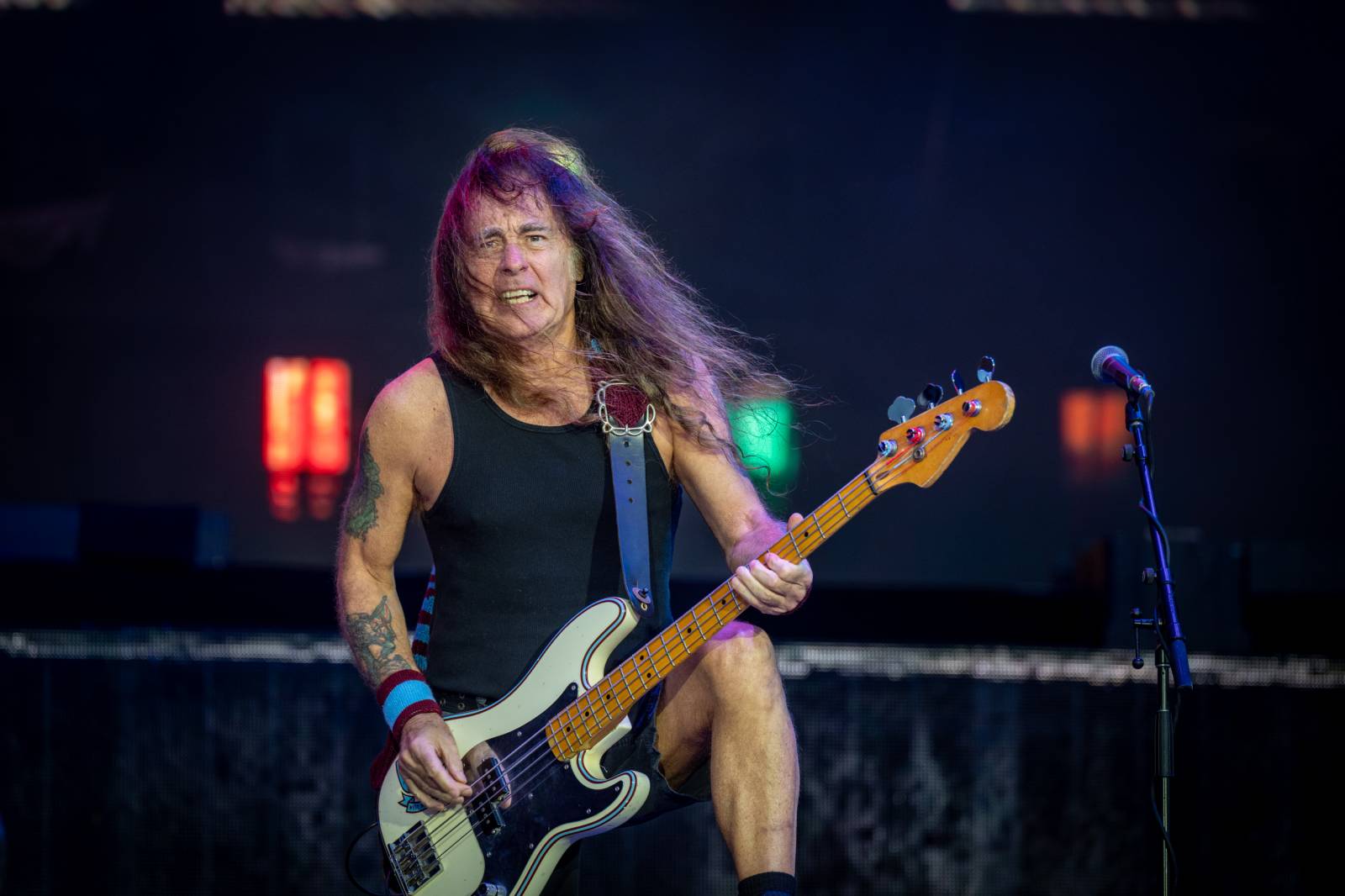 Lekce ryzího metalu od Iron Maiden, bravurní Alter Bridge i skvělý Dan Bárta. Takový byl poslední den na Rock for People