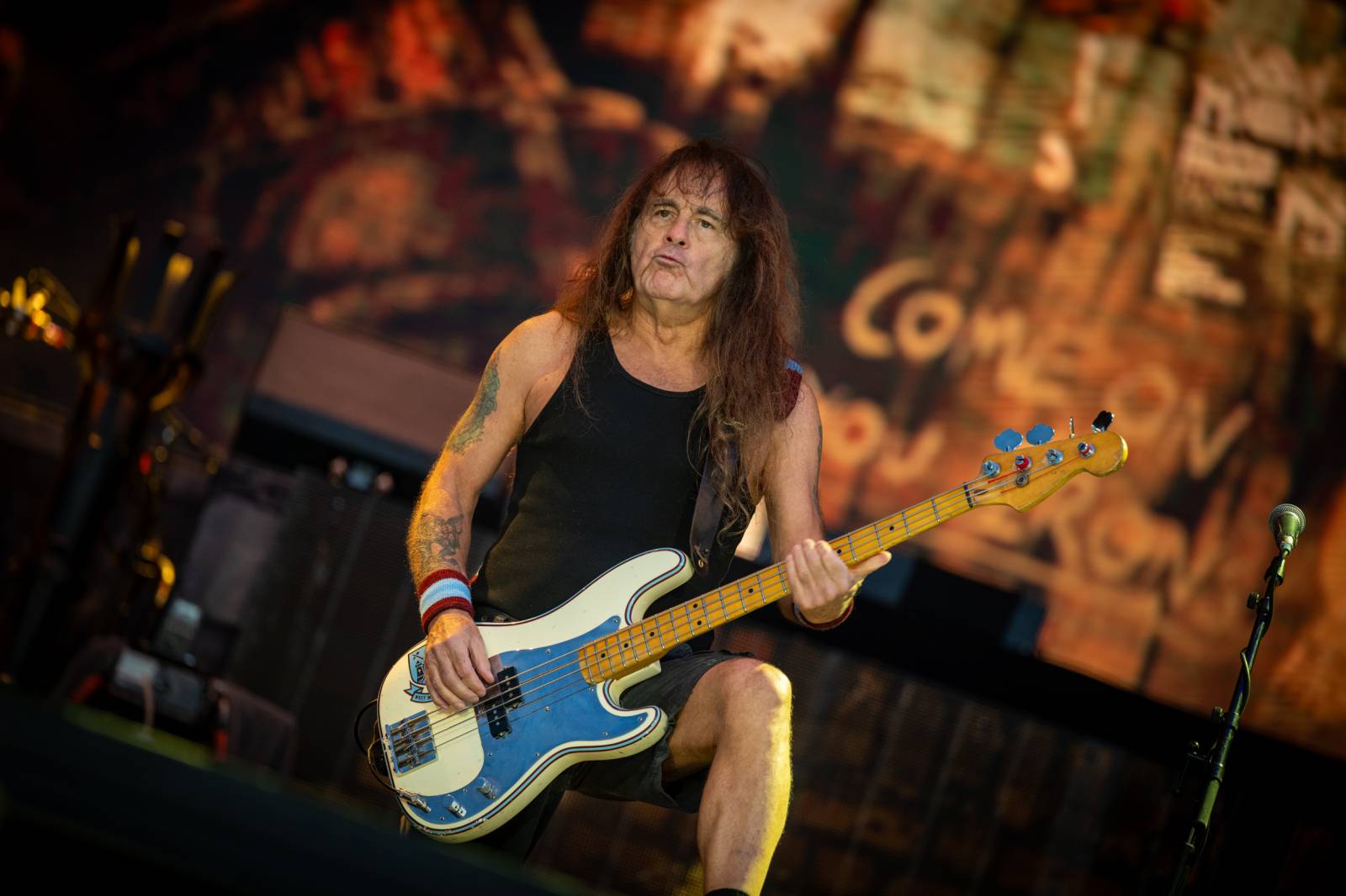 Lekce ryzího metalu od Iron Maiden, bravurní Alter Bridge i skvělý Dan Bárta. Takový byl poslední den na Rock for People