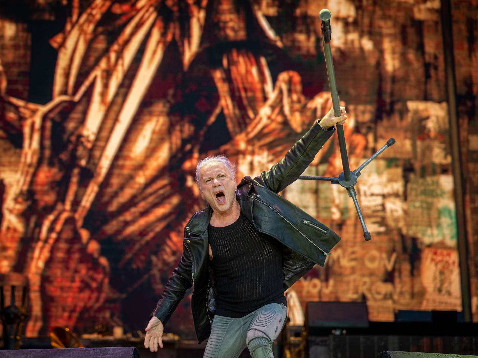 Lekce ryzího metalu od Iron Maiden, bravurní Alter Bridge i skvělý Dan Bárta. Takový byl poslední den na Rock for People