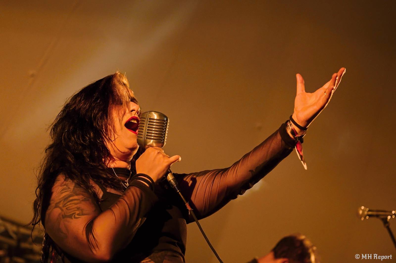 Basinfirefest uzavřel své brány. Hvězdami posledního dne byli Apocalyptica a Root