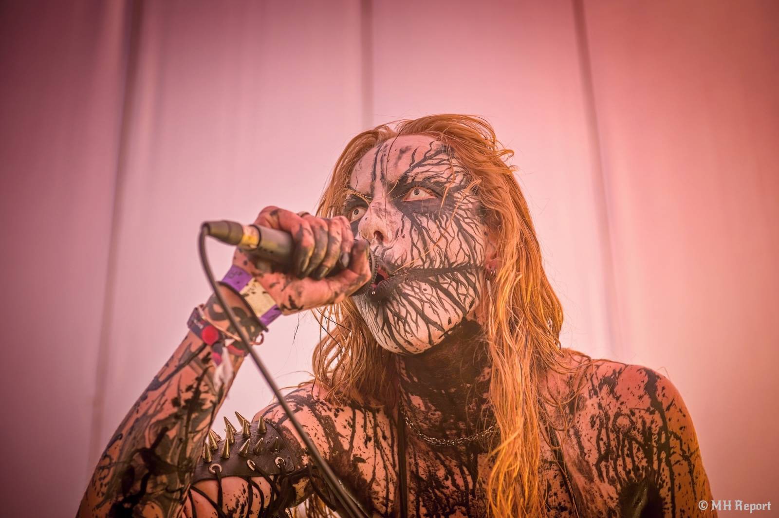 Basinfirefest uzavřel své brány. Hvězdami posledního dne byli Apocalyptica a Root