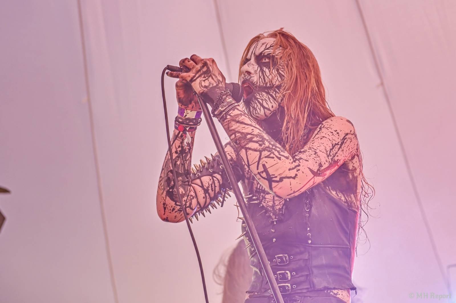 Basinfirefest uzavřel své brány. Hvězdami posledního dne byli Apocalyptica a Root