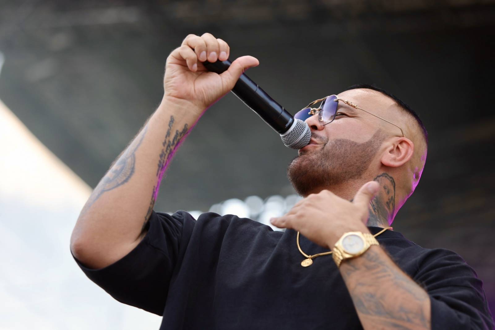 Hrady CZ poprvé v Hluboké nad Vltavou. Festival odstartoval Rytmus, závěr prvního dne obstaraly Rybičky 48