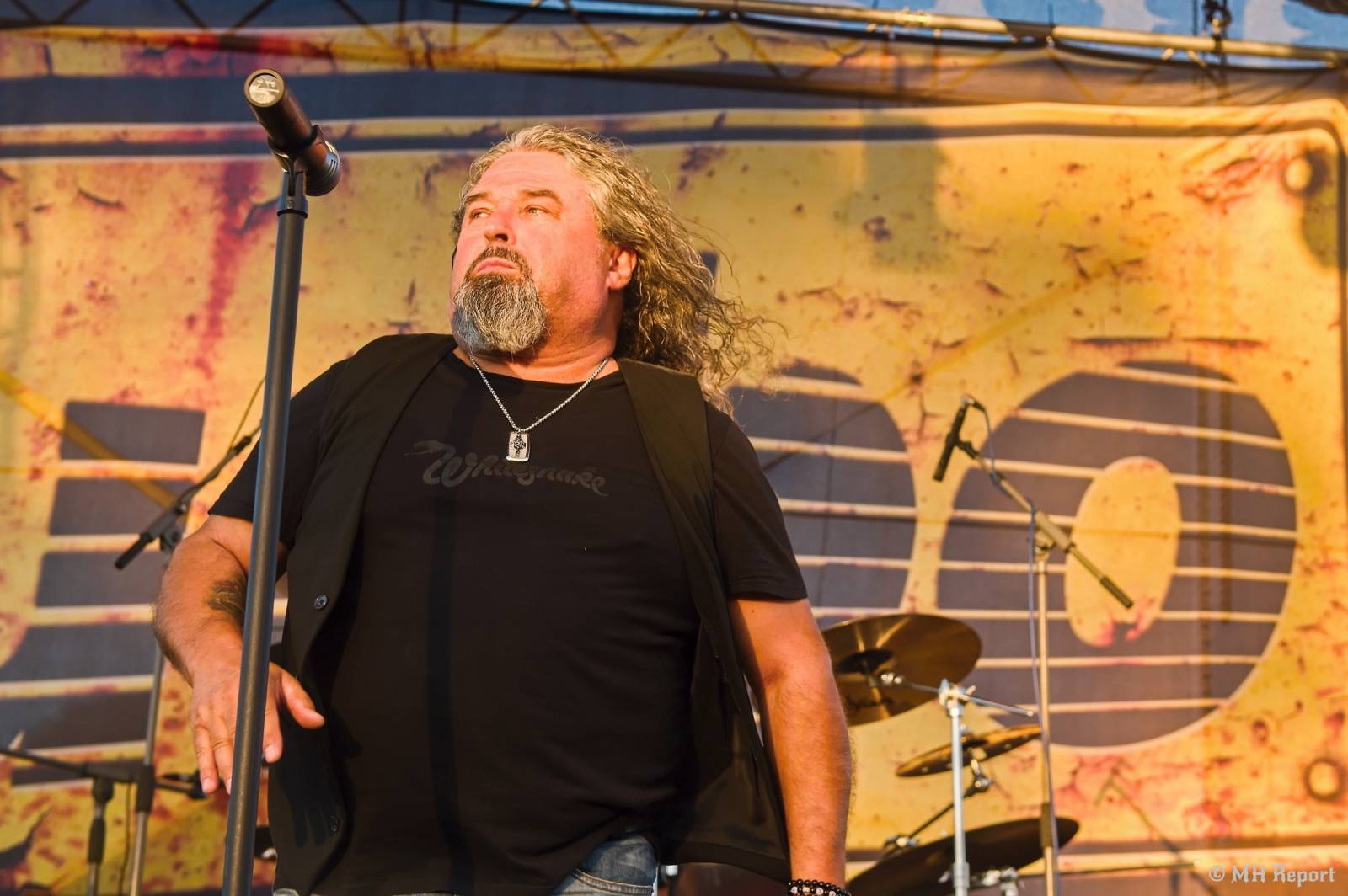 Vejprnice ovládly rockové legendy. Vystoupili Tublatanka, Turbo, Odyssea a Extra Band Revival