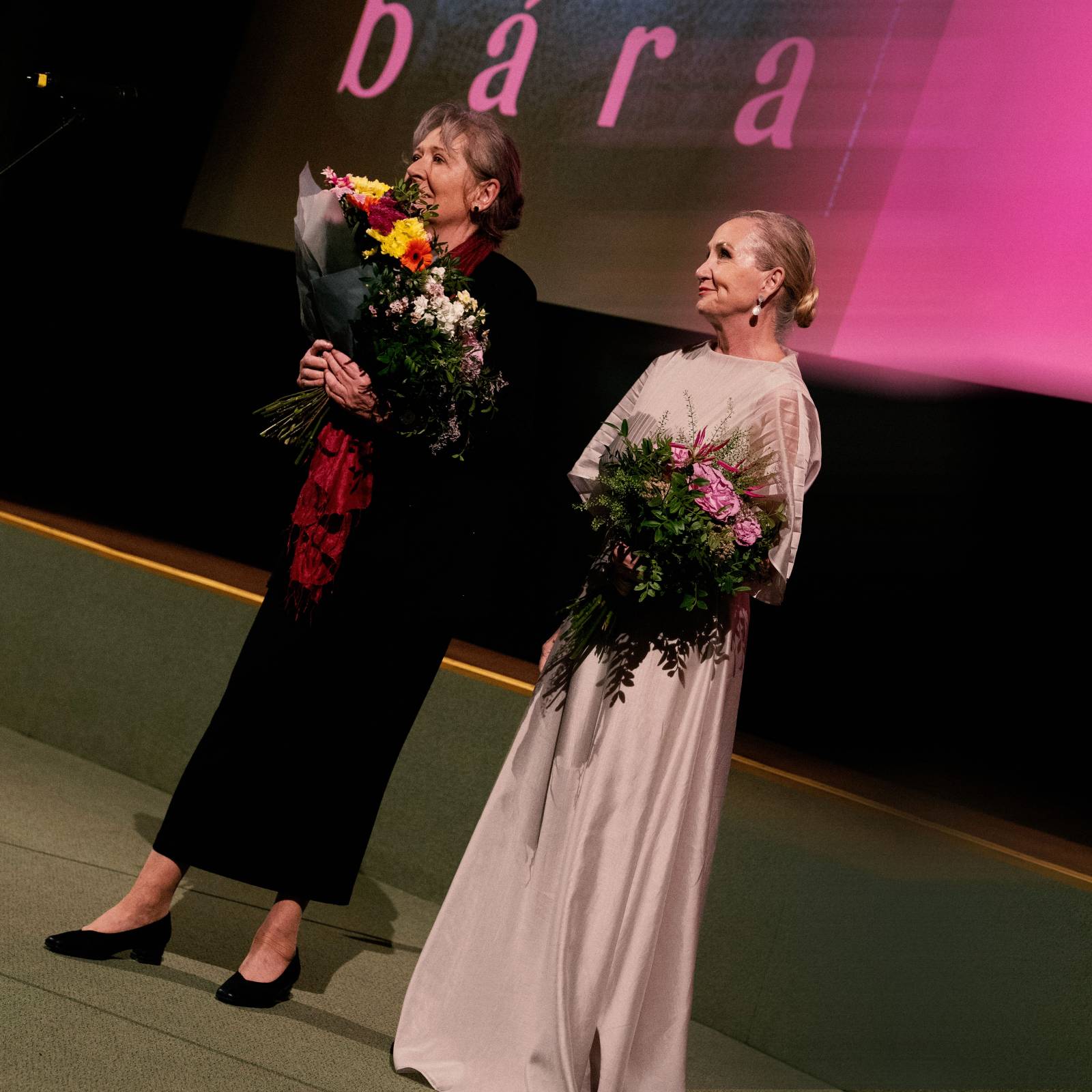 Kino Lucerna promítalo film o Báře Basikové, na premiéru přišli Petr Janda, Vojtěch Dyk i bývalá prezidentka