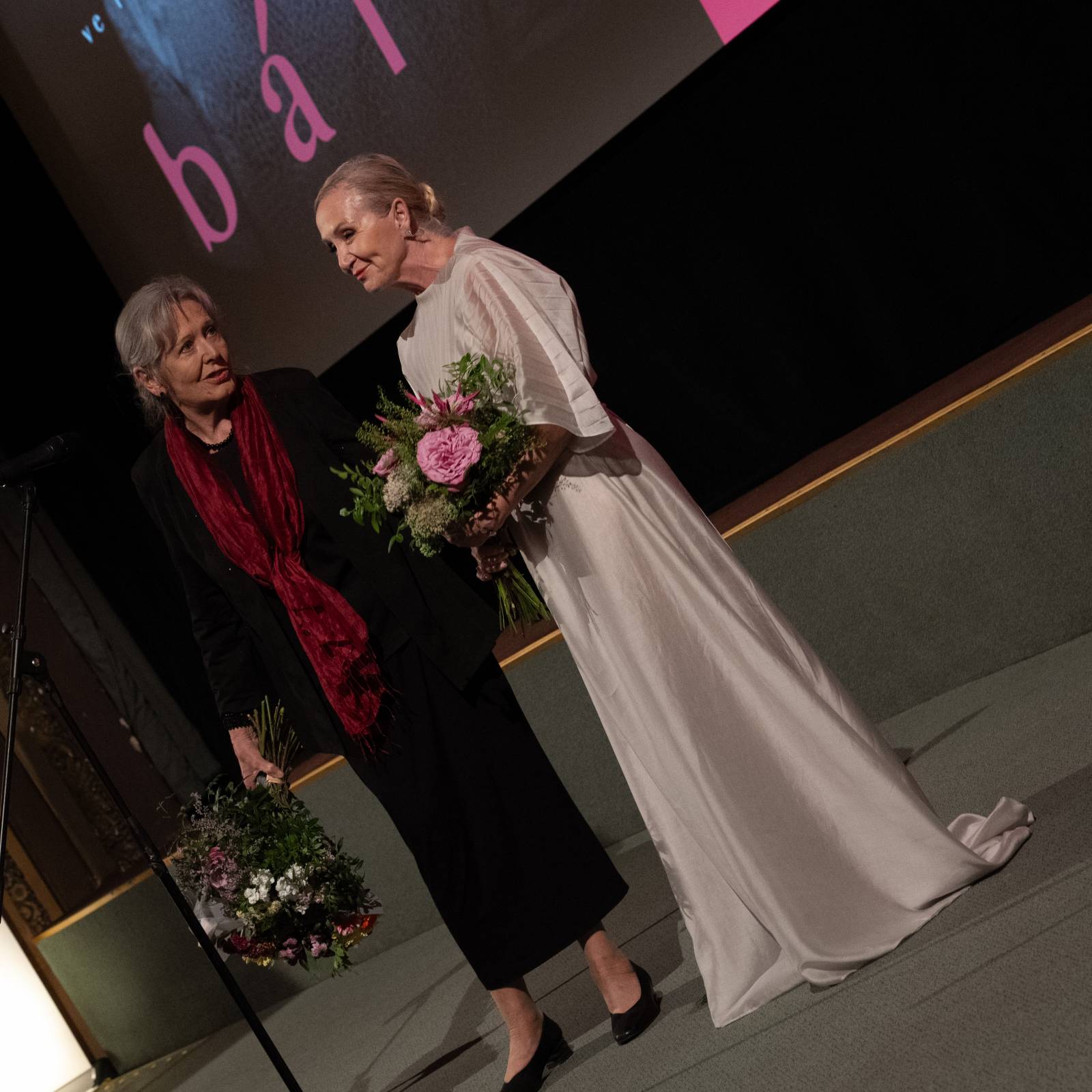 Kino Lucerna promítalo film o Báře Basikové, na premiéru přišli Petr Janda, Vojtěch Dyk i bývalá prezidentka