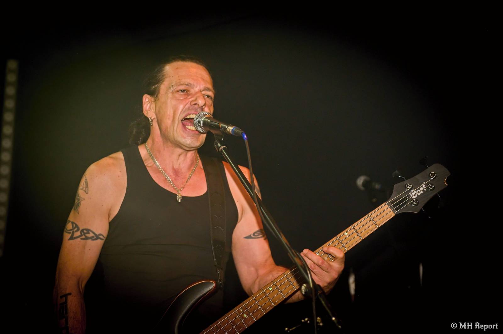 Od rock’n’roll thrashe po punk a elektroniku. Plzeňská Lampa přivítala Zputnik, Šanov 1 a Gaunery