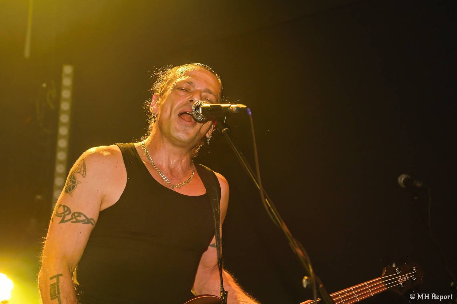 Od rock’n’roll thrashe po punk a elektroniku. Plzeňská Lampa přivítala Zputnik, Šanov 1 a Gaunery