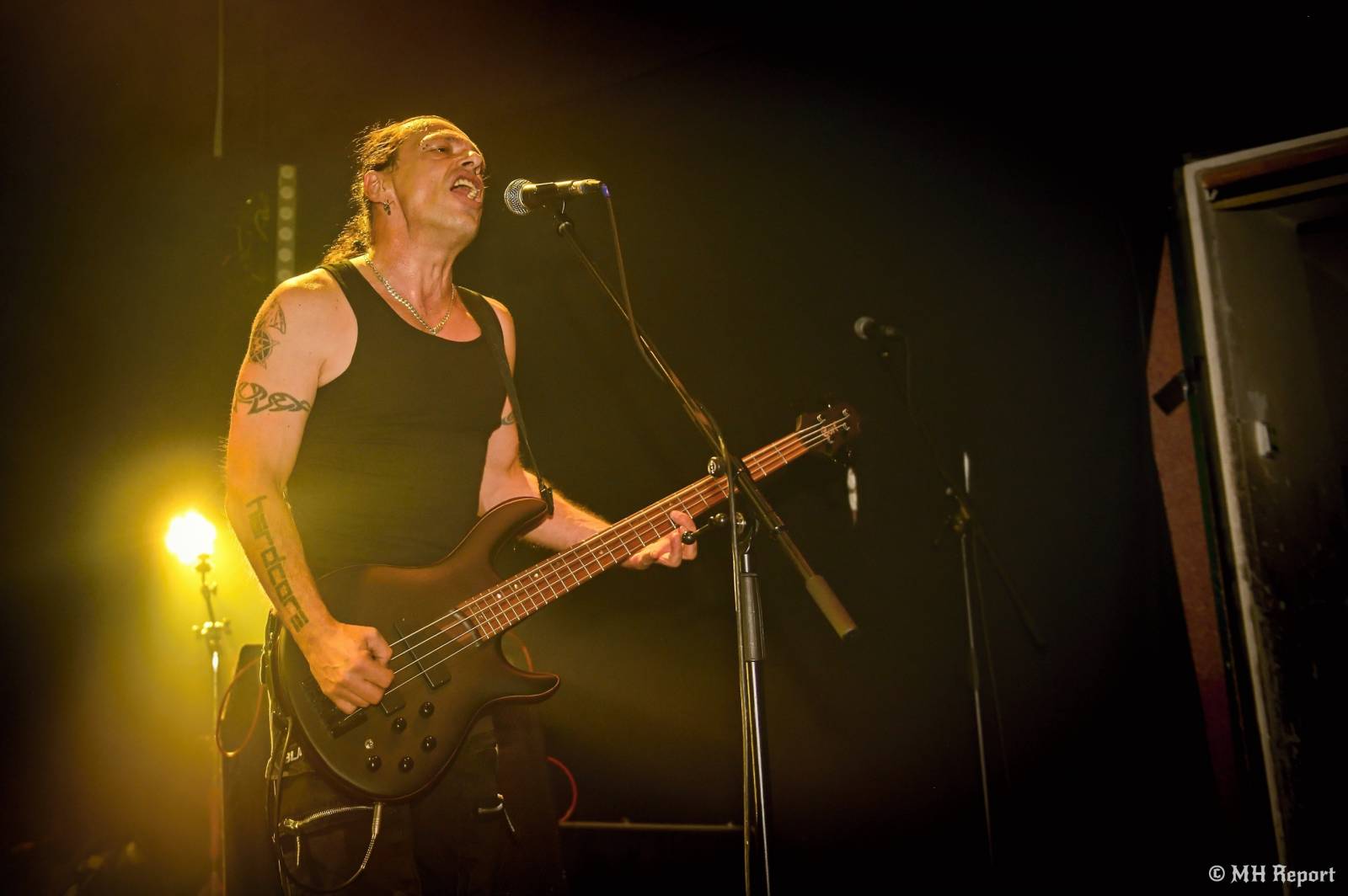Od rock’n’roll thrashe po punk a elektroniku. Plzeňská Lampa přivítala Zputnik, Šanov 1 a Gaunery