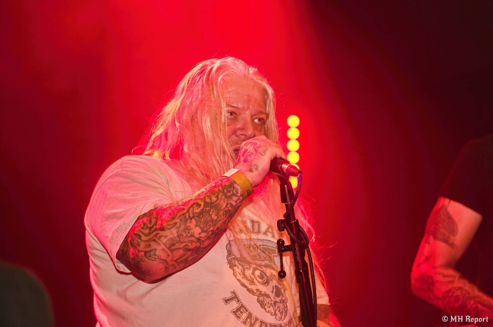 Od rock’n’roll thrashe po punk a elektroniku. Plzeňská Lampa přivítala Zputnik, Šanov 1 a Gaunery