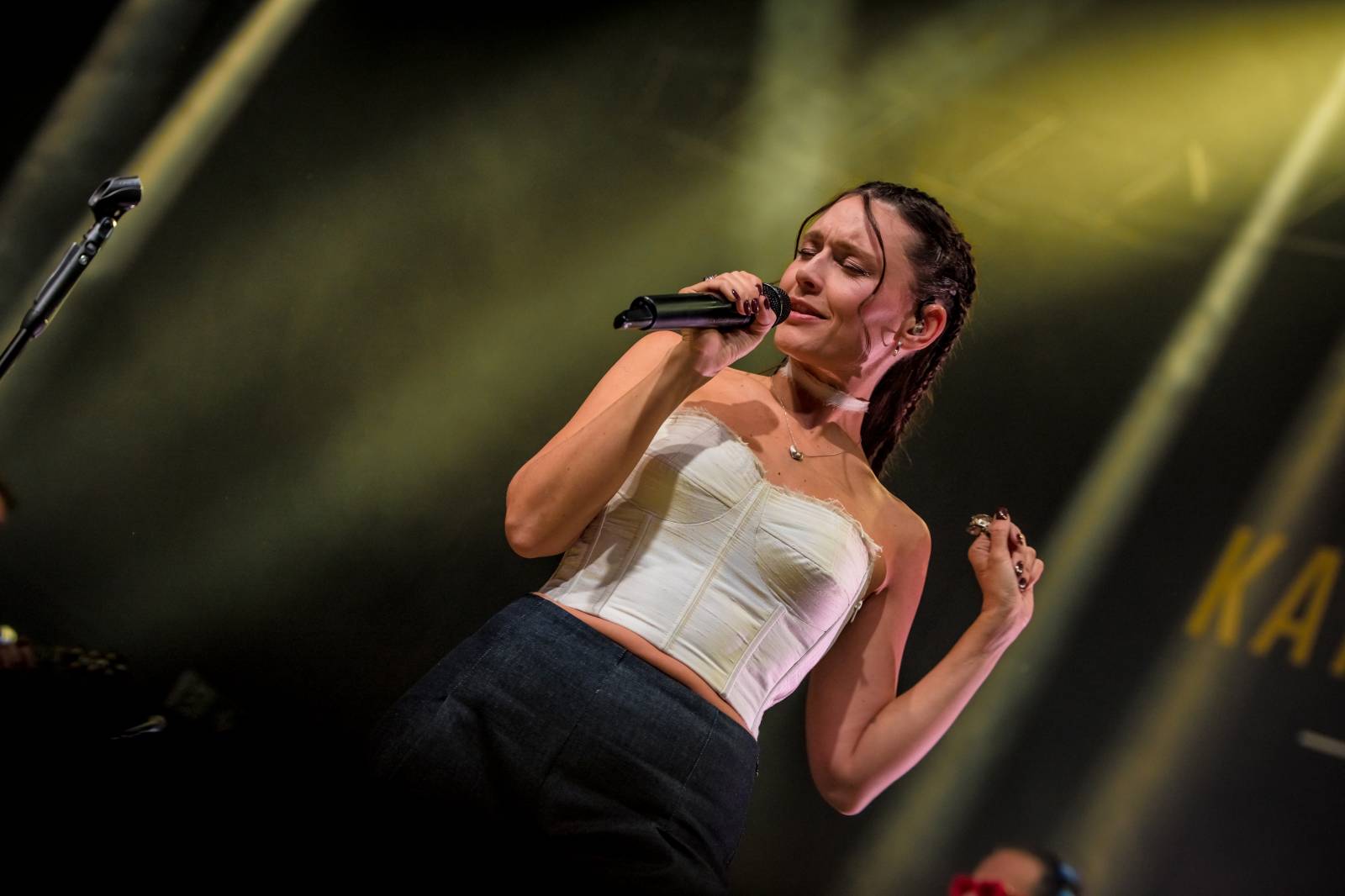 Kateřina Marie Tichá s Bandjezz rozezpívali Brno. Nechyběla ani vzpomínka na Davida Stypku