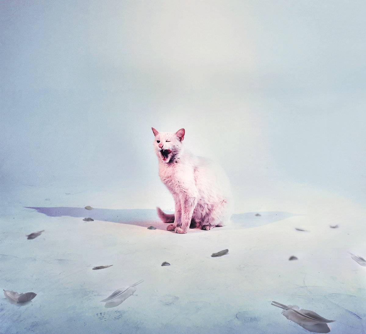 VIDEO: John Wolfhooker vydávají novou desku. Z lovce se stávají kořistí