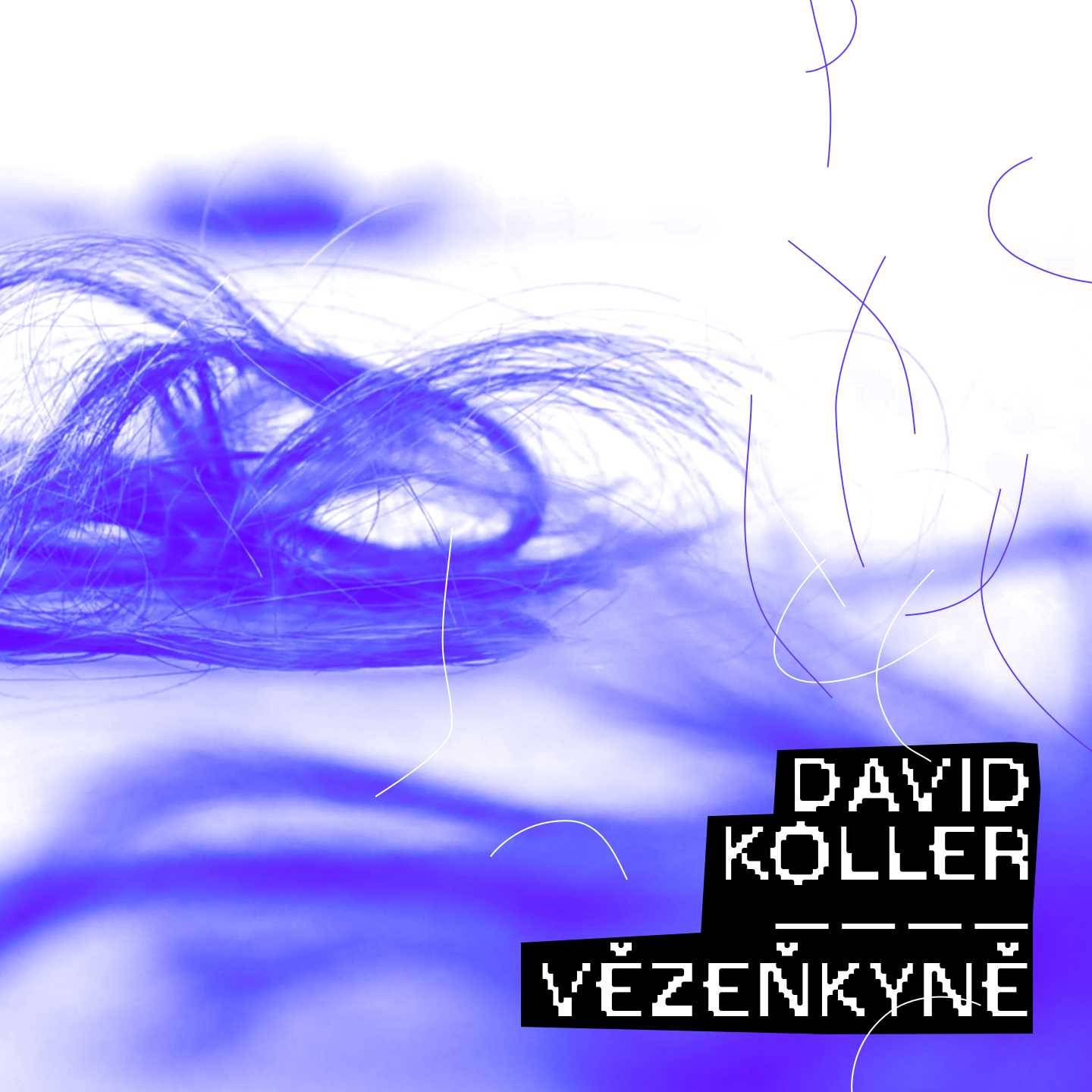 David Koller zpívá v singlu Vězenkyně o domácím násilím, text mu napsal Jáchym Topol