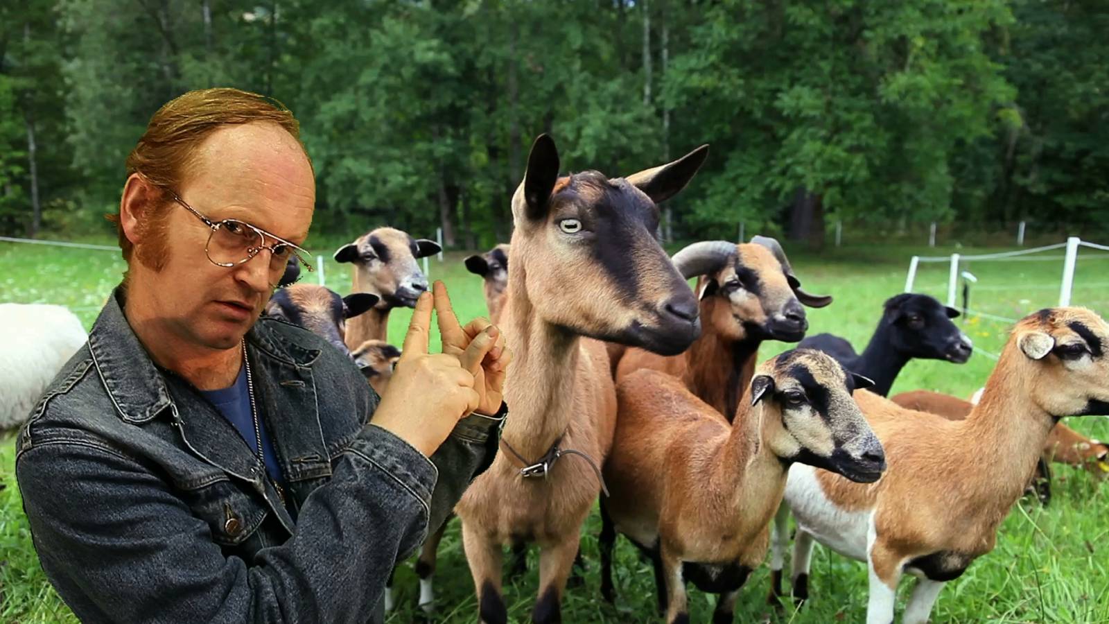 Příběh českého hitu: Ventolin – Disco Science