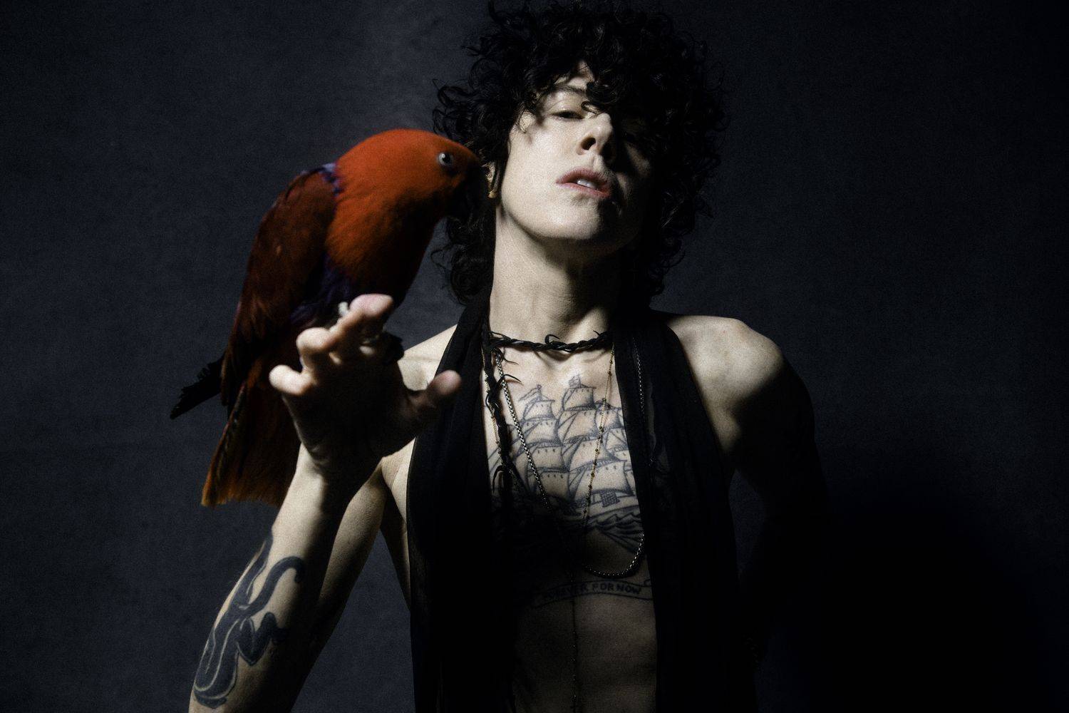 Zahraniční nominační tipy Žebříku (I.): V kategorii Zpěvačka bojují Adele, Dua Lipa nebo Billie Eilish, na Zpěváka roku aspirují Ozzy Osbourne, Chris Martin či Bruce Dickinson