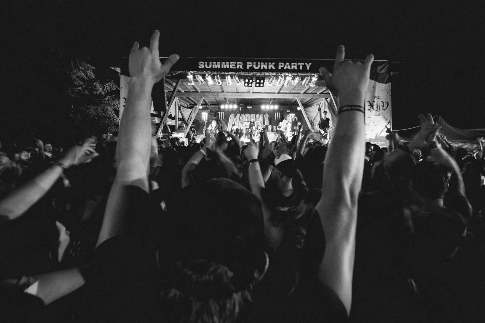 Patnáct let punku u bazénu. Summer Punk Party oslaví výročí s H2O, Rat Boy i špičkou české scény