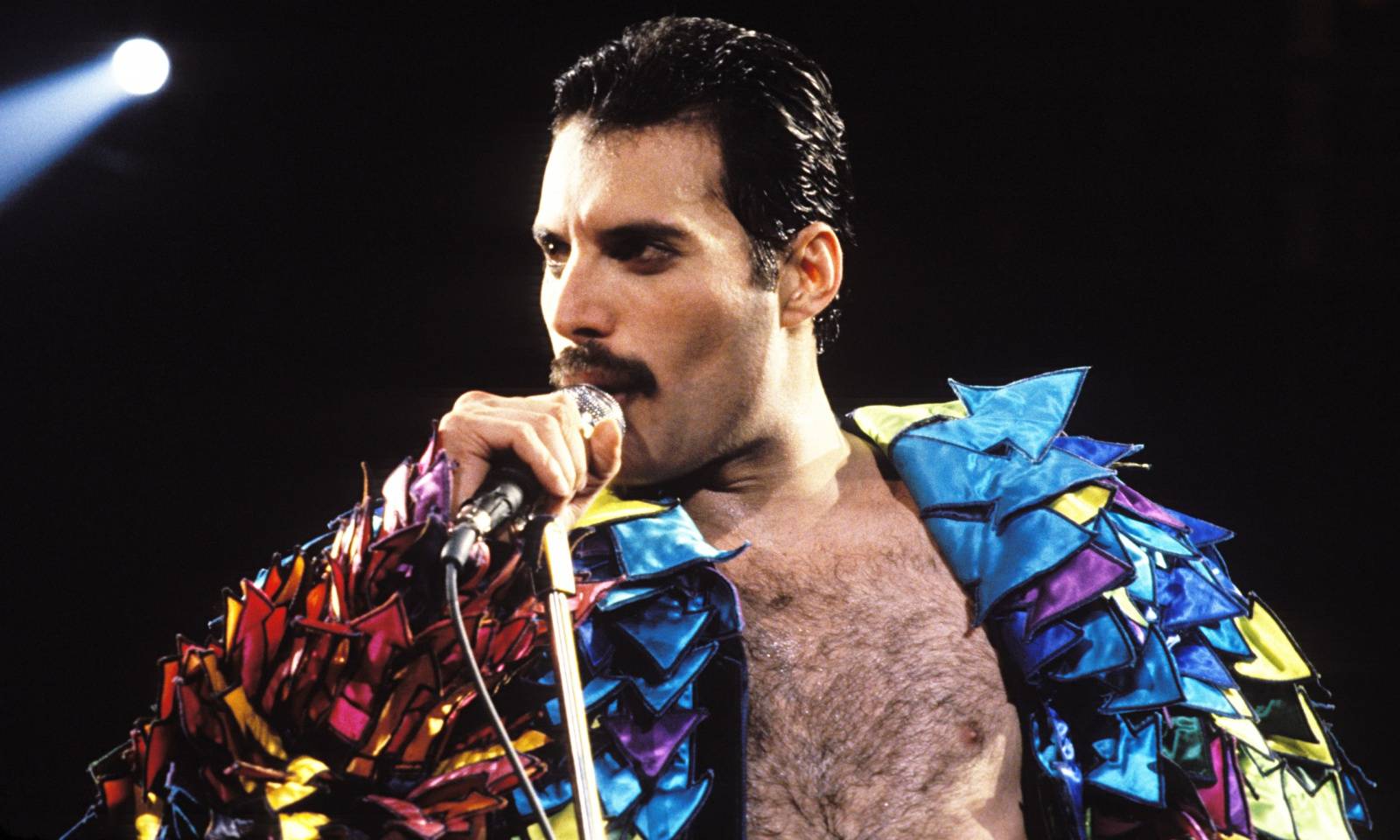 Freddie Mercury bude konečně na filmovém plátně, píše se nový scénář