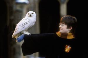 Harry Potter očaruje O2 arenu v doprovodu Českého národního symfonického orchestru