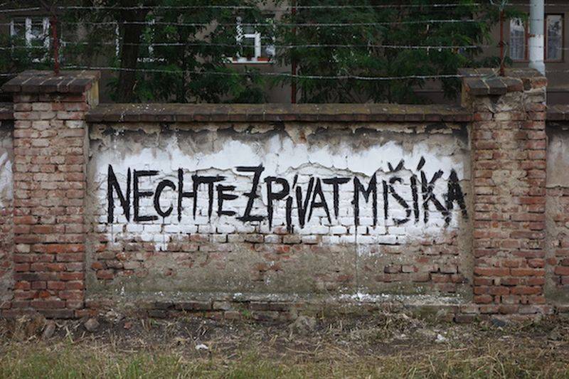 Film Nechte zpívat Mišíka míří z kin i na obrazovky České televize