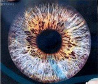 Nové desky: Ondřej Brzobohatý, Vladivojna La Chia nebo Marilyn Manson