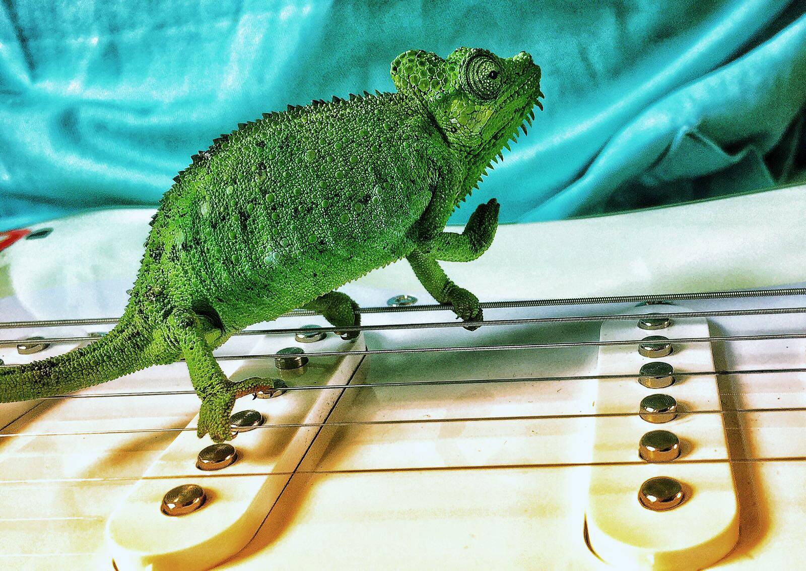 Wohnout si zaletěli pro nový klip do Keni, podpoří místní nemocnici