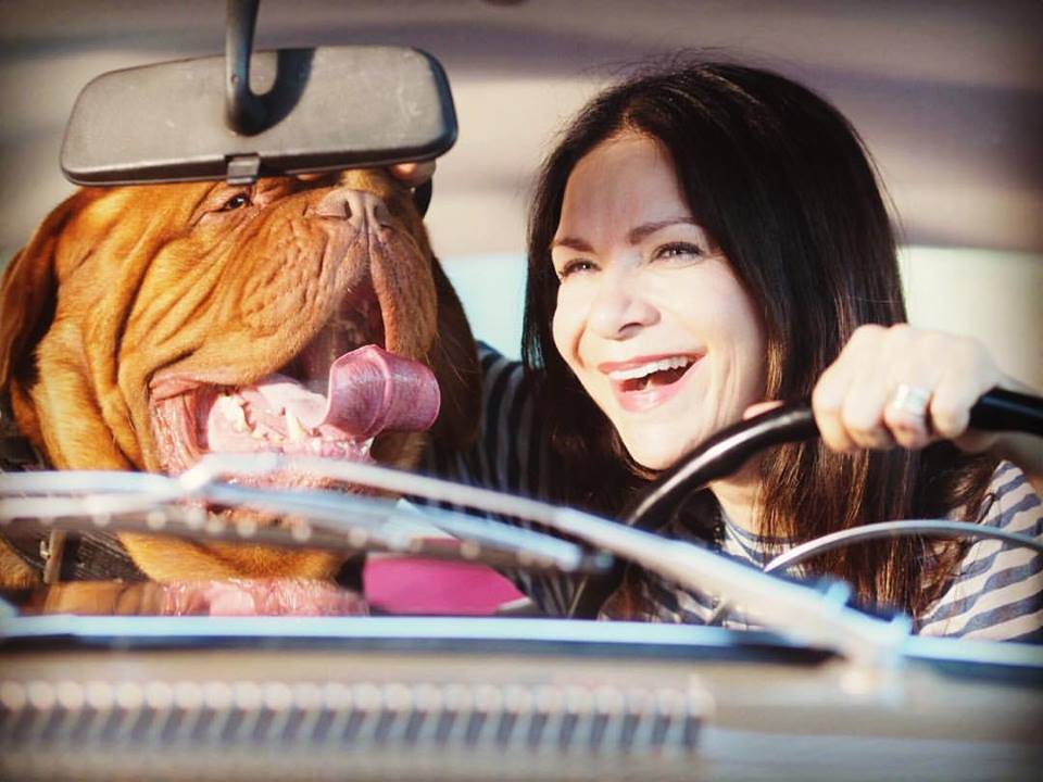 Anna K. oslaví třemi velkými koncerty svoje životní album Světlo i návrat na pódia po nemoci