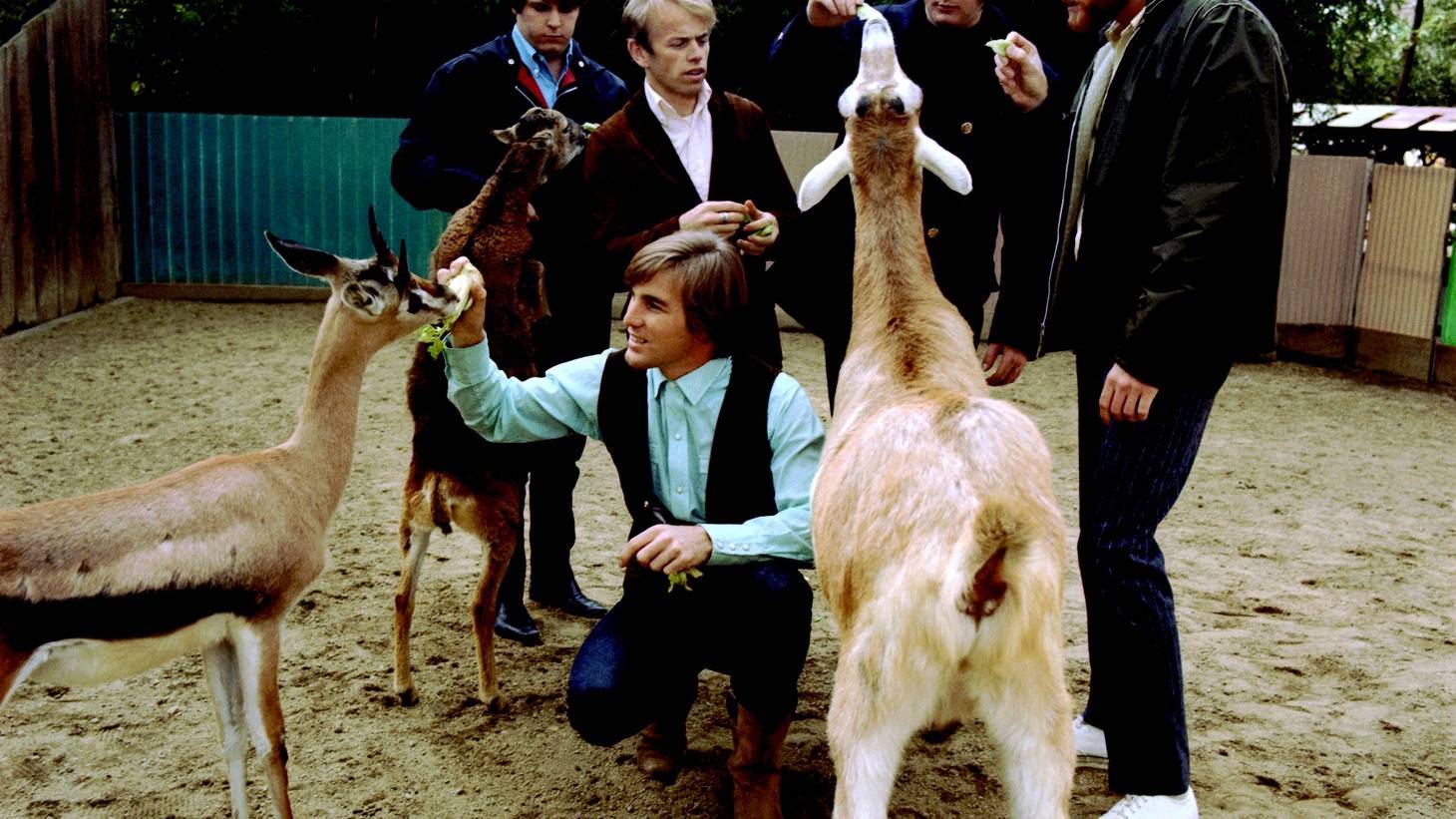 Zemřel popový génius Brian Wilson, spoluzakladatel legendárních The Beach Boys