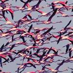 RECENZE: Kosmicky nezměrné a surrealisticky děsivé krásno Deftones