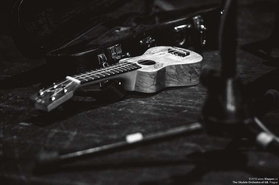 LIVE: Suchý britský humor The Ukulele Orchestra Of Great Britain