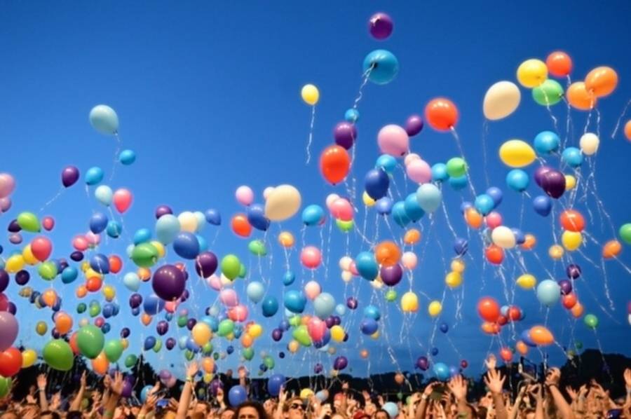 LIVE: Holešovská Regata 2016: Kryštof přilákali 10 tisíc lidí, podle No Name pokřtili tygří mládě