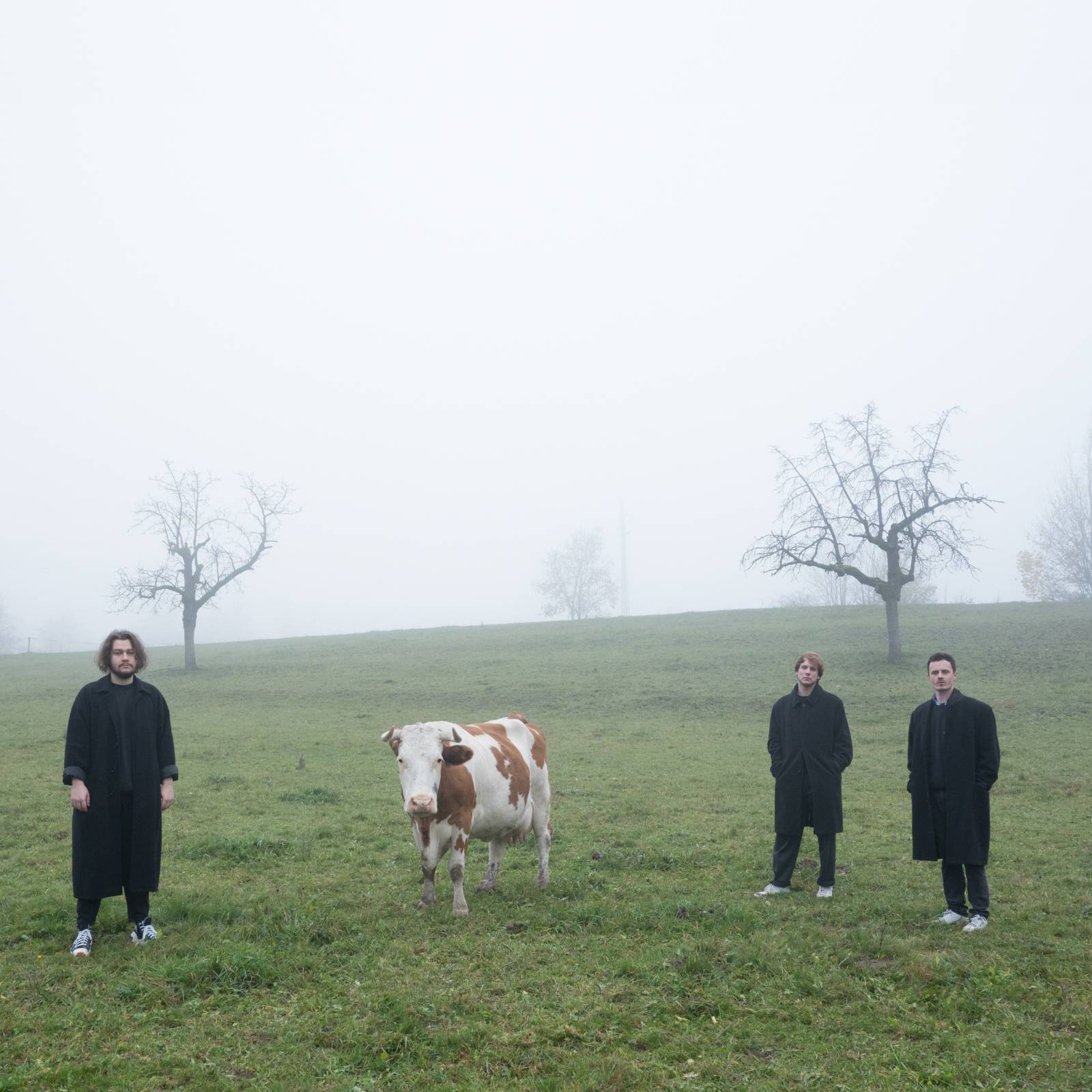 ROZHOVOR | The Valentines: Naivní humor jde z nás