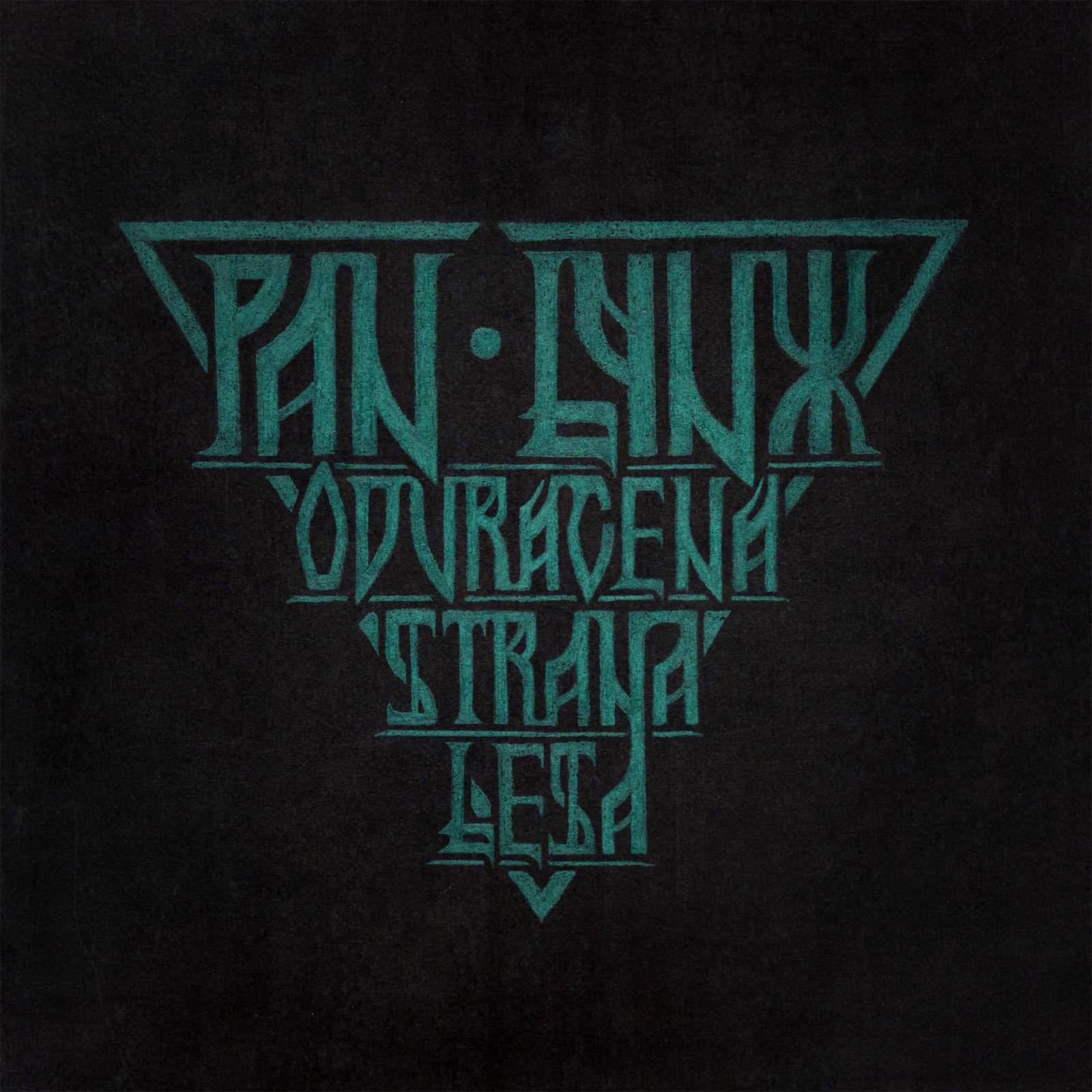 ROZHOVOR | Michal Skořepa (Pan Lynx): Vnější okolnosti jsou tvojí volbou