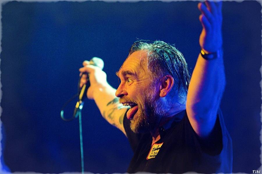 Energická Zaz, divoká Doro i prezident se striptérkou: TOP 16 fotek prosince