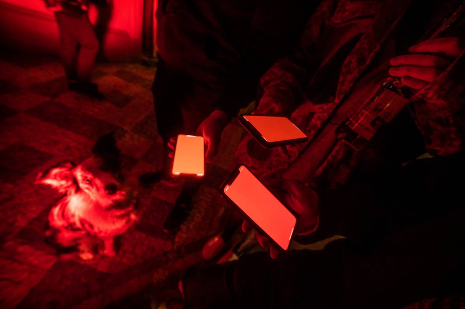 GALERIE: Pozor, červená! České kluby svítí na poplach