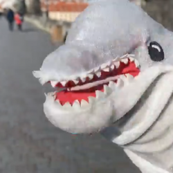 BIZÁR TÝDNE: Kříženec delfína s Hitlerem nahrál album. Je mi to jedno, vzkazuje Adolfeen na debutu