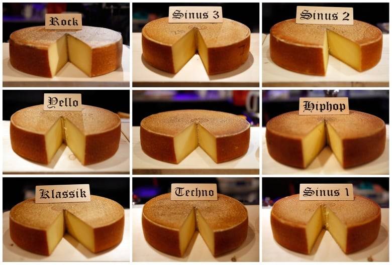 BIZÁR TÝDNE: Uzraje chutnější sýr při poslechu Led Zeppelin nebo Mozarta? Možná budete překvapeni