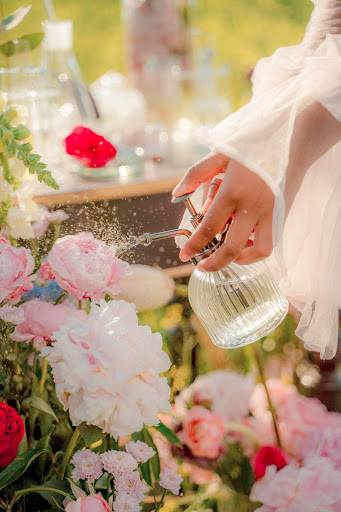 TOP 7 dámských parfémů s dlouhou výdrží pro léto 2023
