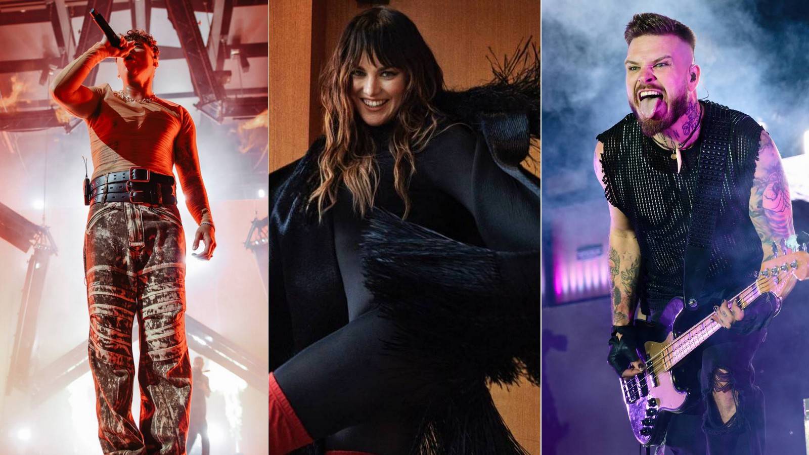 Žebřík číslo 34: Pro tyto interprety by hlasovala Šárka Preslová