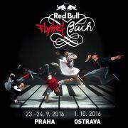 Red Bull Flying Bach