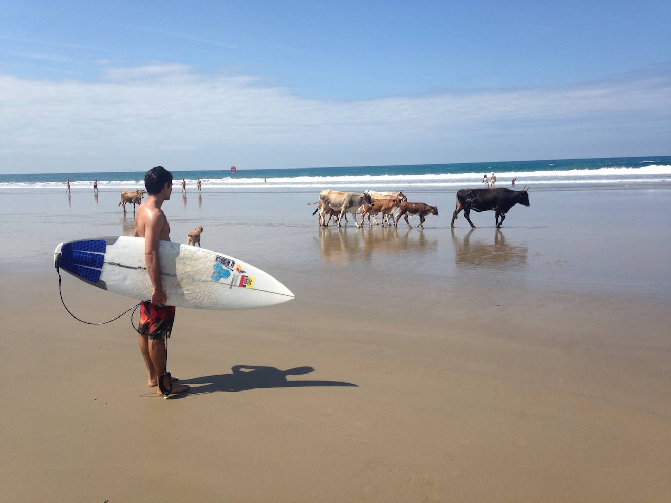 TRACKLIST | Píseň po písni s novým albem Fast Food Orchestra. Nechte se vzít s sebou