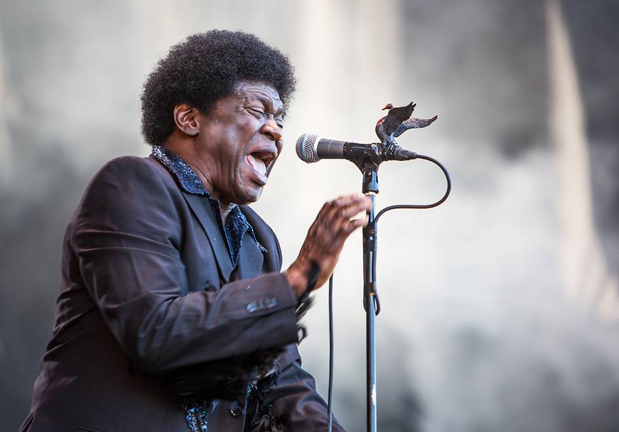 Charles Bradley - Vřeštící orel soulu, kterého fascinoval James Brown
