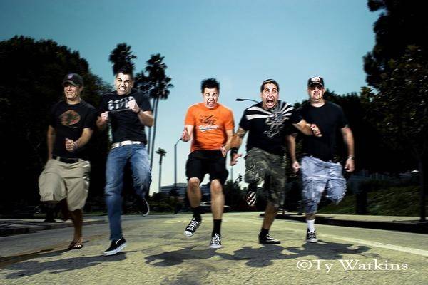 Zebrahead
