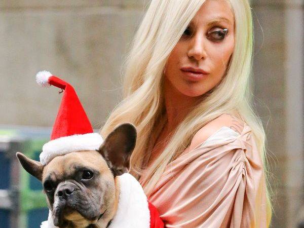 VIDEO: Žena roku Lady Gaga složila poctu Franku Sinatrovi. Takhle zapěla New York, New York